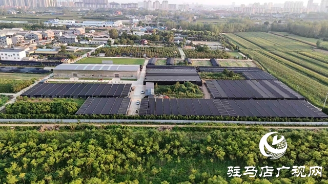 泌陽(yáng)縣花園街道：農(nóng)文旅融合發(fā)展夯實(shí)鄉(xiāng)村振興根基