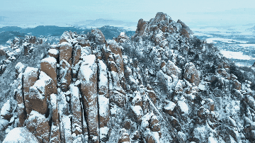 戲韻滿天中，名家賀新春！2026駐馬店新春戲曲晚會邀您共賞