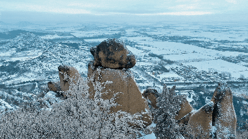 戲韻滿天中，名家賀新春！2026駐馬店新春戲曲晚會邀您共賞