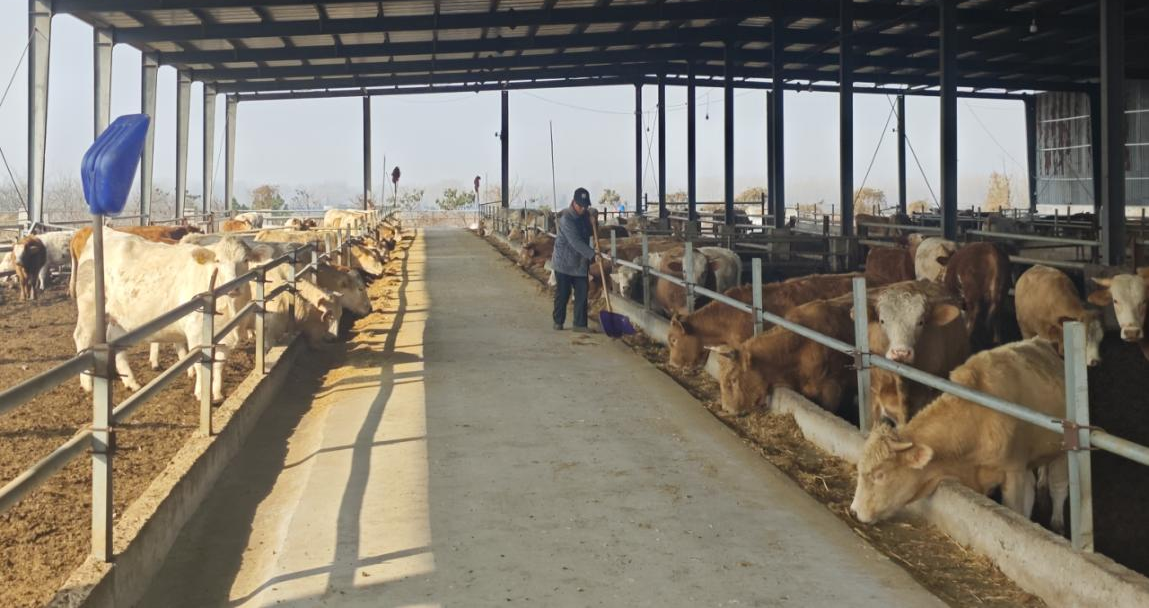 駐馬店市動物疫病防疫檢疫中心發(fā)布2026年2月份動物疫病預(yù)警預(yù)報