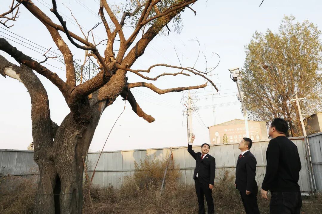 驛城區(qū)檢察院依托雙向銜接守護(hù)人民群眾美好生活