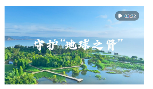 微視頻｜守護(hù)“地球之腎”