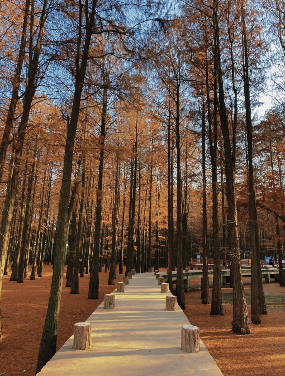 【駐馬店冬季旅游路線·第五期】邂逅天中大地的冬日之美