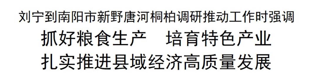 【視頻】劉寧到南陽(yáng)市新野唐河桐柏調(diào)研推動(dòng)工作時(shí)強(qiáng)調(diào) 抓好糧食生產(chǎn) 培育特色產(chǎn)業(yè) 扎實(shí)推進(jìn)縣域經(jīng)濟(jì)高質(zhì)量發(fā)展
