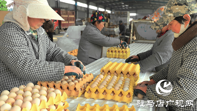 雙節(jié)“蛋”香濃 吉泰保民生