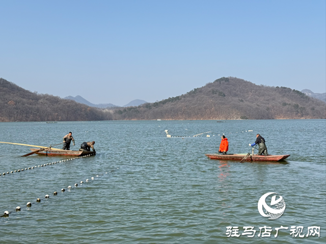 確山縣:冬捕開網(wǎng)魚滿艙 湖鮮飄香迎新春