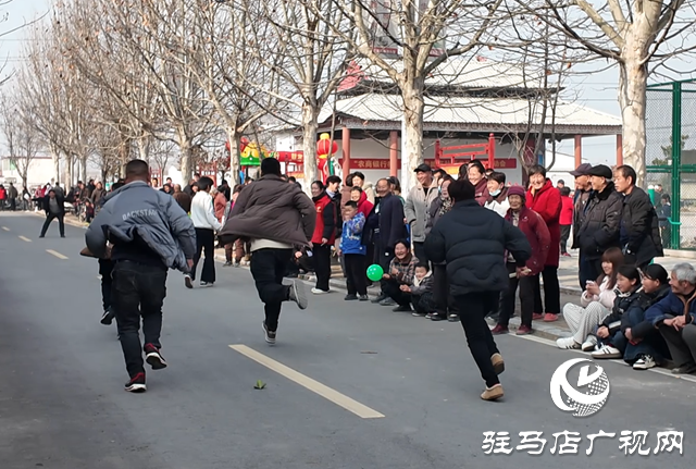 確山縣三里河街道：農(nóng)趣盎然慶豐年 凝心聚力促振興