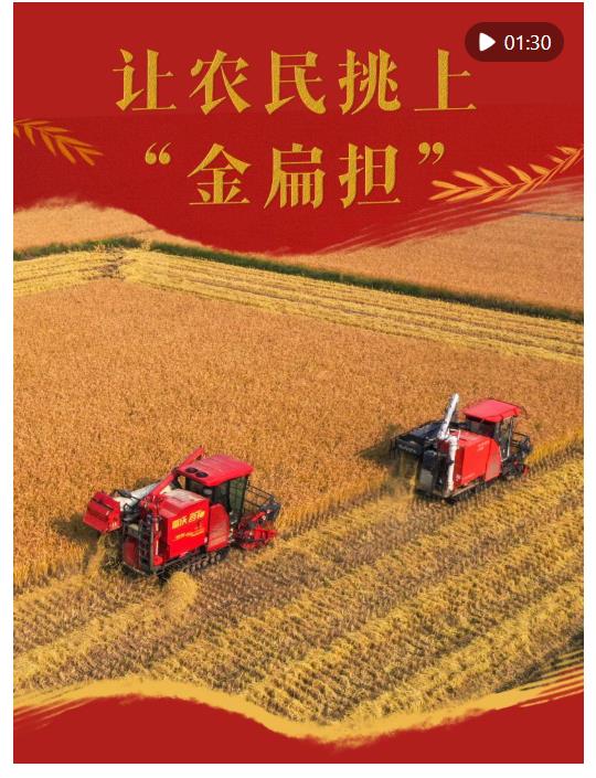 微視頻｜讓農(nóng)民挑上“金扁擔(dān)”