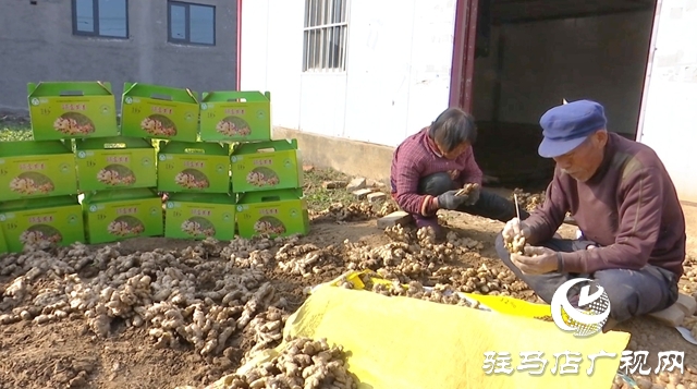 上蔡:傳統(tǒng)年貨火爆出圈 解鎖鄉(xiāng)村振興新味道