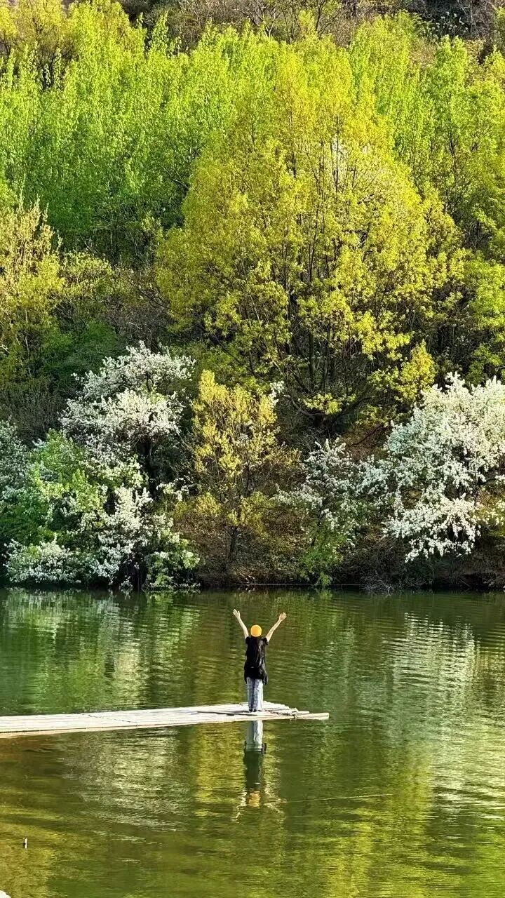 立春啟新，春滿天中｜駐馬店邀你赴一場春日之約