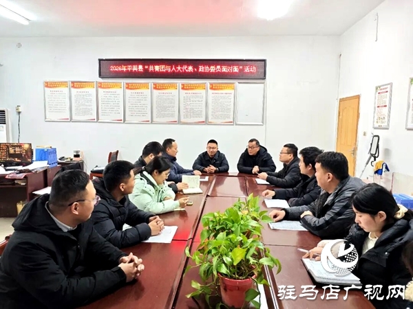 平輿團(tuán)縣委開展2026年“共青團(tuán)與人大代表、政協(xié)委員面對面”活動