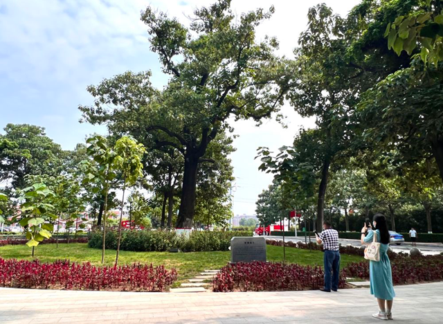 跨越一甲子，這篇新聞經(jīng)典仍激蕩人心