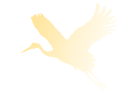 【線上展】“天中駿彩?筆墨迎春”2026年駐馬店市中國美術(shù)家協(xié)會會員作品展(李新國)