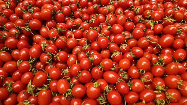 我市春節(jié)市場(chǎng)供應(yīng)貨豐價(jià)穩(wěn) 激活新春消費(fèi)新活力