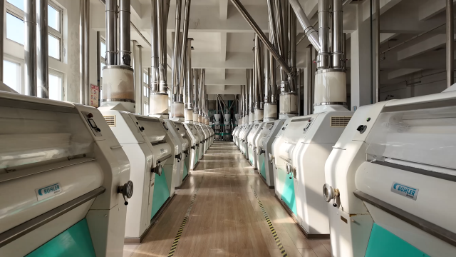 一加一面粉:智造發(fā)力 沖刺2026年一季度開門紅