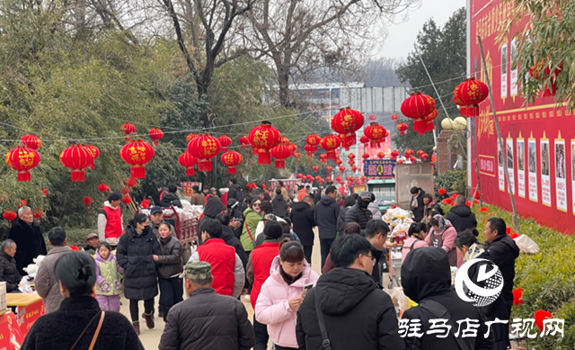 驛城區(qū)年貨大集開市 “羋月古村”年味濃活力足