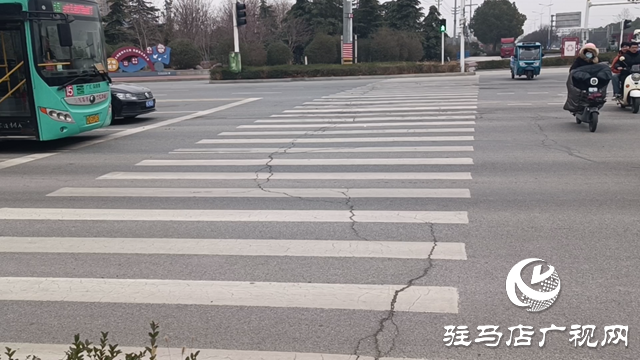 斑馬線“懟”上花壇 市民過(guò)街犯難