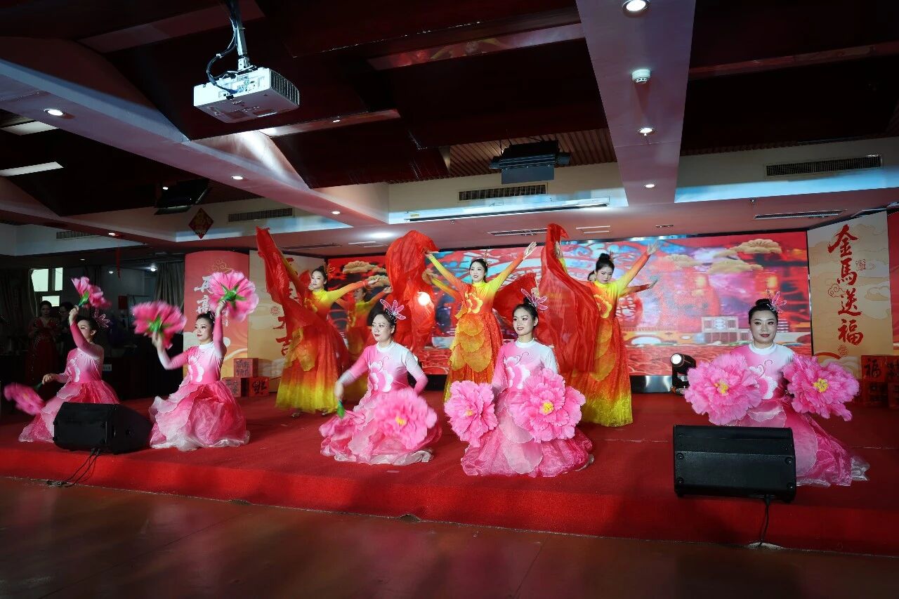 醫(yī)路向暖守初心  藝彩華章啟新程 | 駐馬店市中醫(yī)院2026年春節(jié)聯(lián)歡會圓滿落幕
