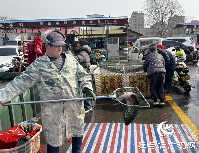 駐馬店:年貨采購迎高峰 魚躍人歡年味濃