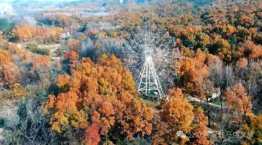 馬躍新春游天中 | 景區(qū)惠民福利指南來啦~