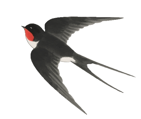 “春滿中原 老家河南”2026年駐馬店新春特色文旅活動