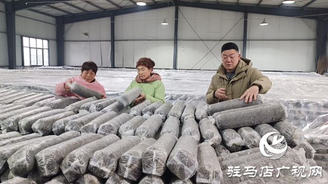 確山縣任店鎮(zhèn)入選省級(jí)農(nóng)業(yè)產(chǎn)業(yè)強(qiáng)鎮(zhèn) 小菌棒種出致富大產(chǎn)業(yè)