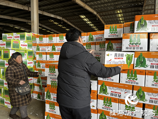 【春節(jié)我在崗】小小菜攤不打烊 守護市民“菜籃子”