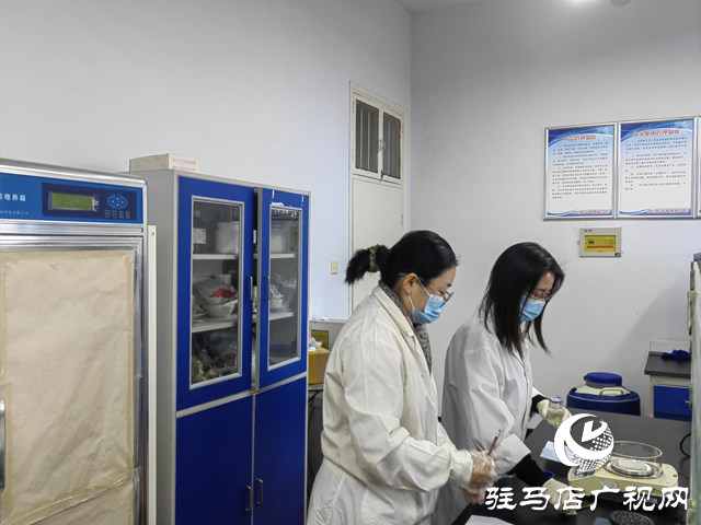 2026年春節(jié)海采:新年新氣象 新年新愿望