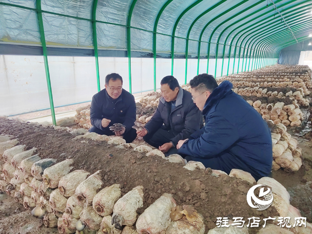 奮楫揚(yáng)帆啟新程 凝心聚力向未來——2026年新年愿景