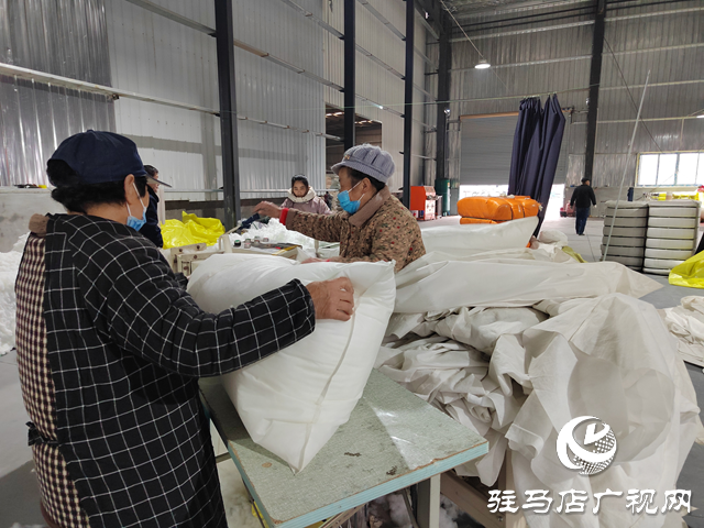 奮楫揚(yáng)帆啟新程 凝心聚力向未來——2026年新年愿景