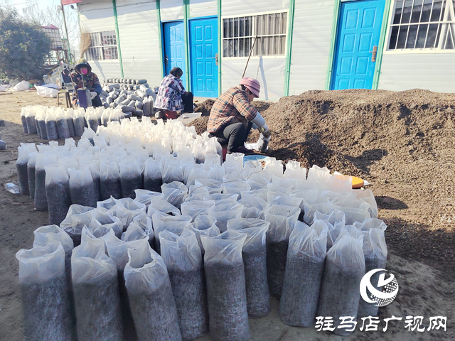 新春走基層丨新歲啟封，聽他們說……