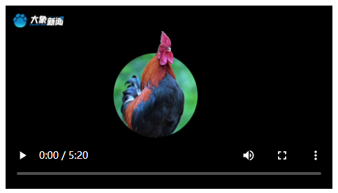 相濡以沫 守你如初丨好丈夫·武長安