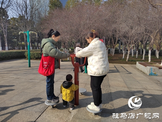 春節(jié)假期公園游人如織