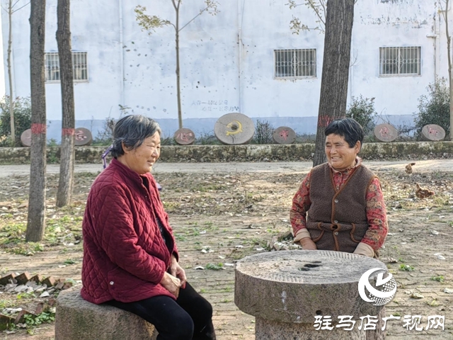 【天中光榮榜】2025年度盤(pán)點(diǎn)特輯——李小妮:一墻未隔 親如一家