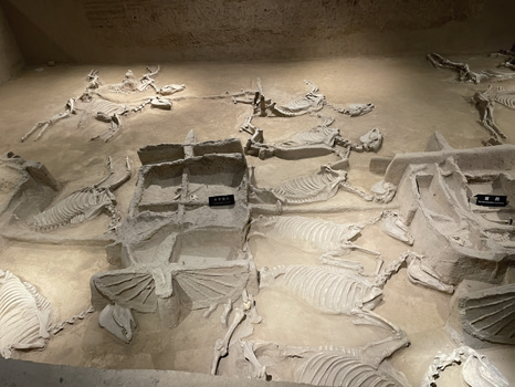 靈駿送福送祥瑞 國寶里的小馬含量超高