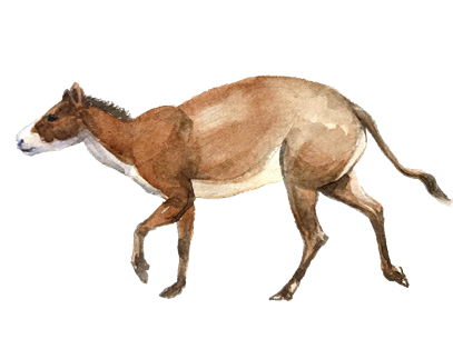 靈駿送福送祥瑞 國寶里的小馬含量超高