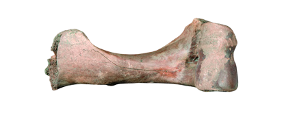 靈駿送福送祥瑞 國寶里的小馬含量超高