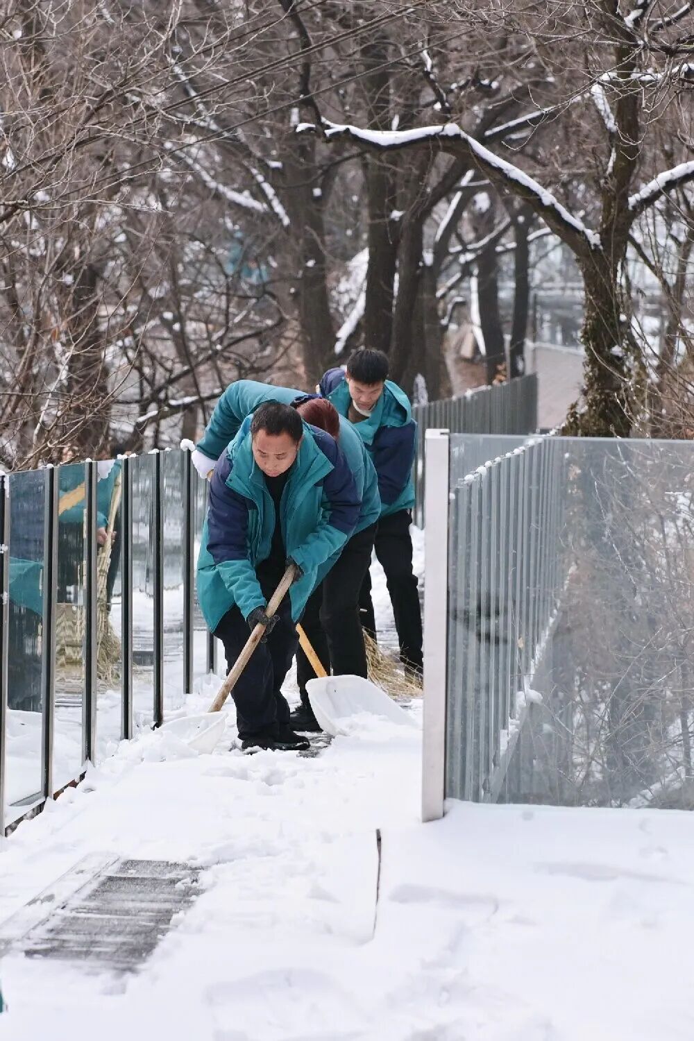 瑞雪兆豐年！春節(jié)假期晴天模式開啟！邀您共赴這場新春之約！
