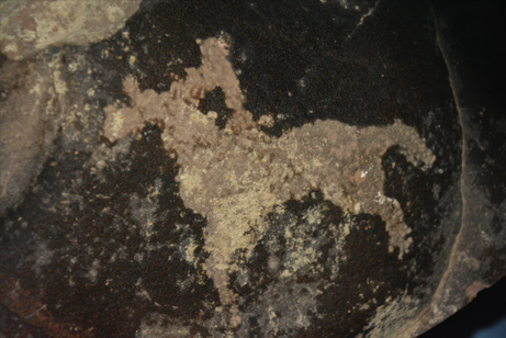 靈駿送福送祥瑞 國寶里的小馬含量超高