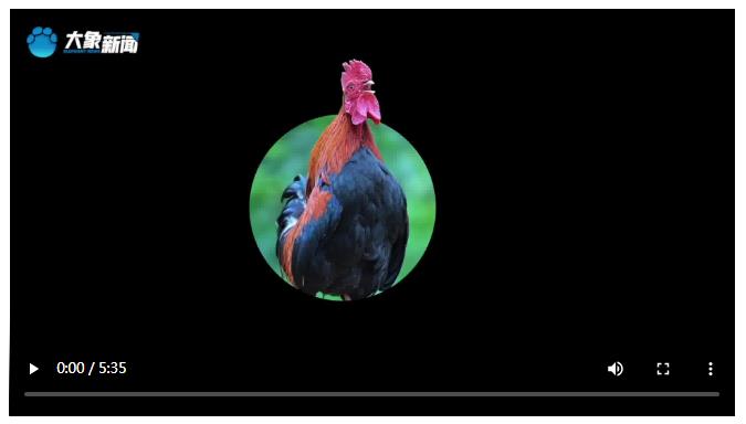 個(gè)人善舉帶好整村風(fēng)氣∣好鄰居·祝紅剛