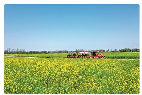 河南省信陽(yáng)市平橋區(qū)明港鎮(zhèn)新集村：文旅賦能開出&ldquo;致富花&rdquo;