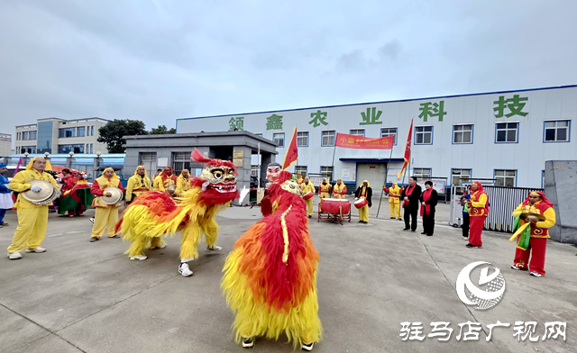 遂平縣沈寨鎮(zhèn)小寨村:銅器歡歌慶新春 愛心基金暖人心