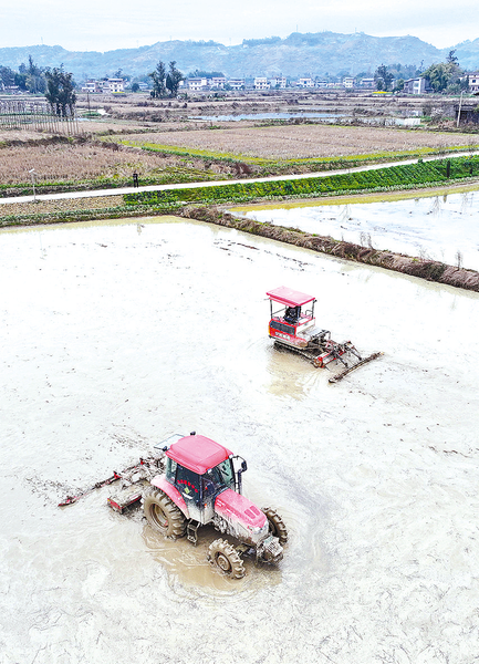 農(nóng)忙春光里