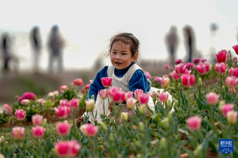 春日滇池引客來