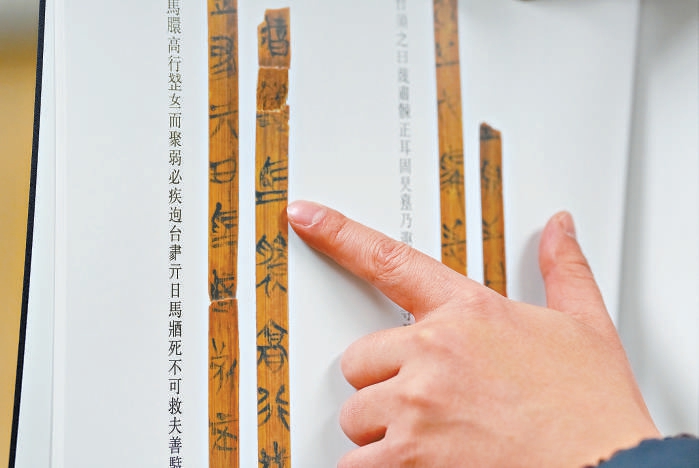 破譯兩千多年前的養(yǎng)馬“秘笈”