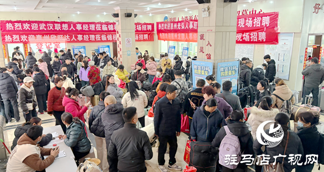 崗位4.5萬個 意向8175人 駐馬店“春風(fēng)行動”助力就業(yè)開門紅