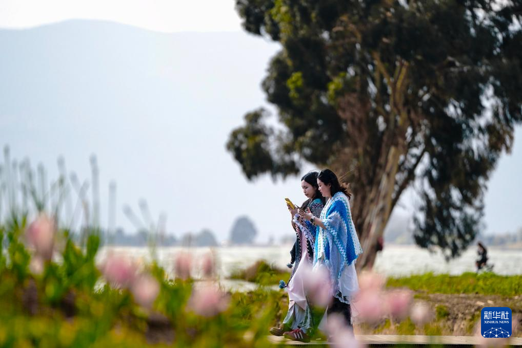 春日滇池引客來