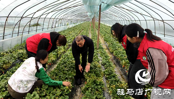 學雷鋒助春耕 平輿科技志愿服務賦能鄉(xiāng)村振興