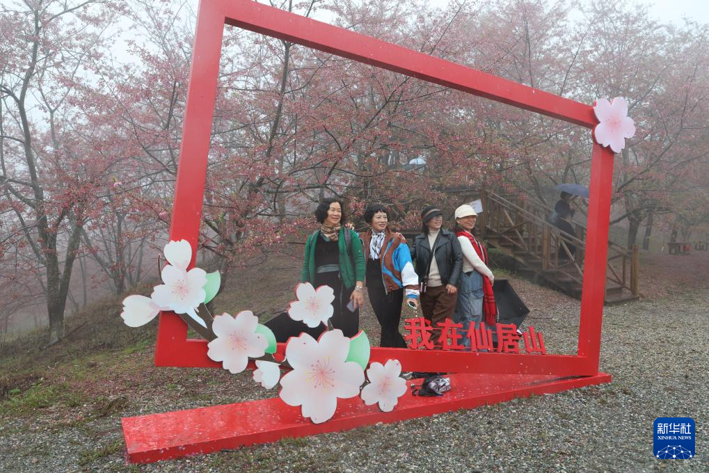 櫻花綻放激活“春日經(jīng)濟”