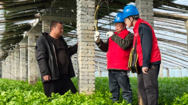 國(guó)網(wǎng)上蔡縣供電公司：全力護(hù)航春耕生產(chǎn)用電安全